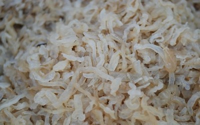 【專業(yè)供應海鮮干貨海蜇絲(廠家直銷 批零兼可,歡迎來電咨詢)】價格,廠家,圖片,鮮活/冷凍水產(chǎn),連云港大橋海產(chǎn)品銷售-